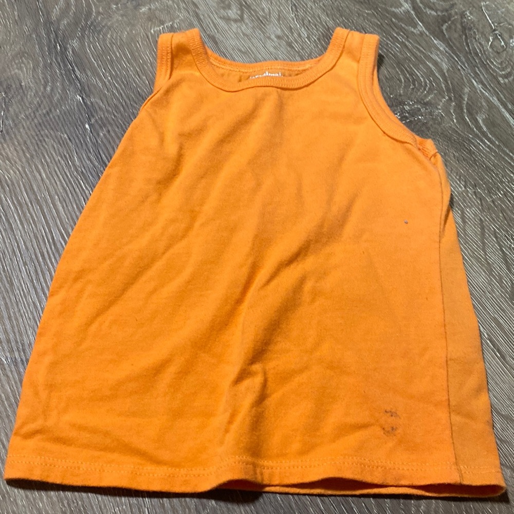 Size 2T Garanimals bundle